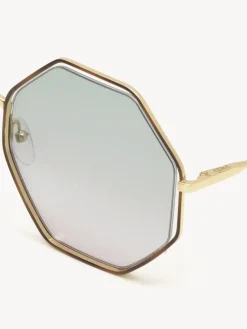 Lunettes De Soleil-Chloé Lunettes De Soleil Poppy Havana / Green Rose