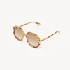 Lunettes De Soleil-Chloé Lunettes De Soleil West Petite Havana Patchwork