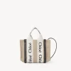 Sacs À Bandoulière-Chloé Mini Sac Cabas Woody A Bandoulière White - Blue 1