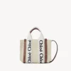 Sacs À Bandoulière-Chloé Mini Sac Cabas Woody A Bandoulière Brown - Beige 1