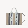 Sacs Cabas-Chloé Petit Sac Cabas Woody A Bandoulière Green - Blue 1