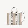 Sacs À Bandoulière-Chloé Petit Sac Cabas Woody A Bandoulière White - Blue 2